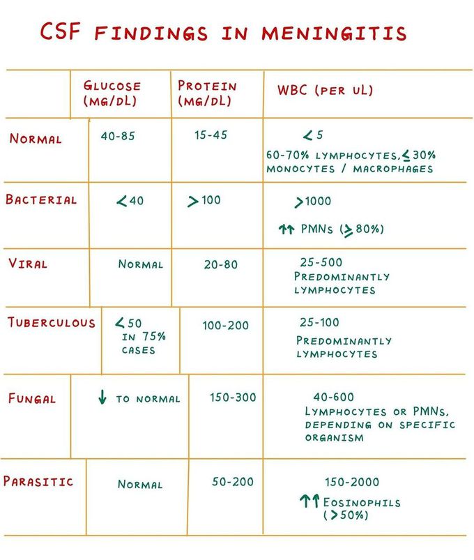 CSF Findings in Meningitis