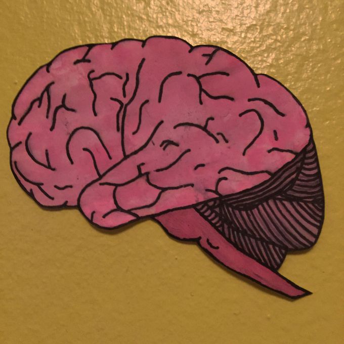 Brain