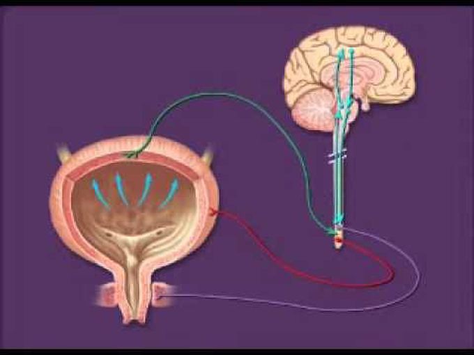 How to treat micturition syncope?