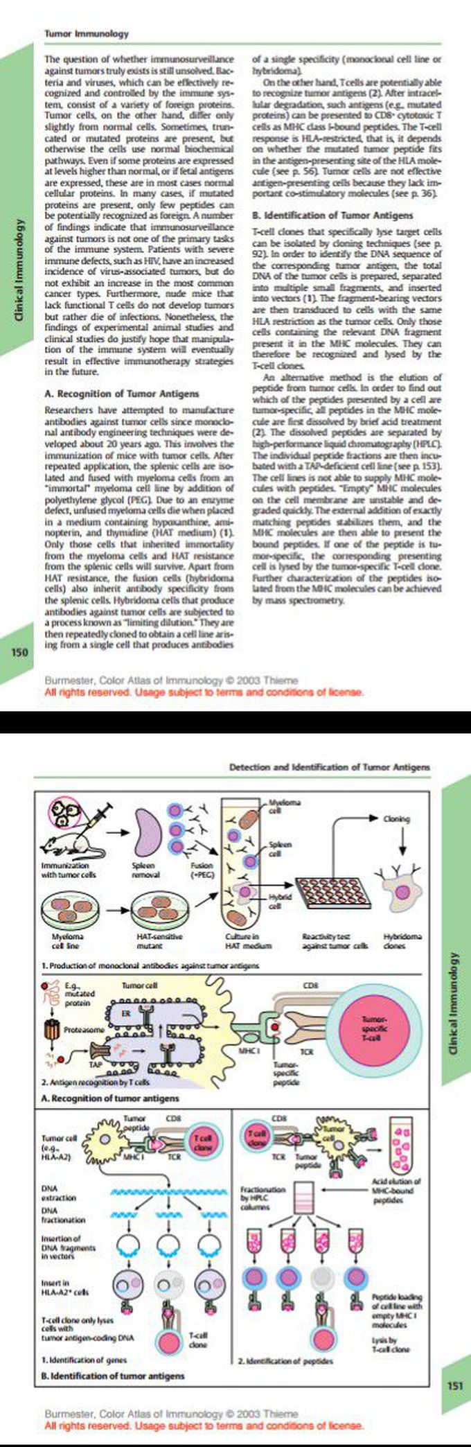 Immunology