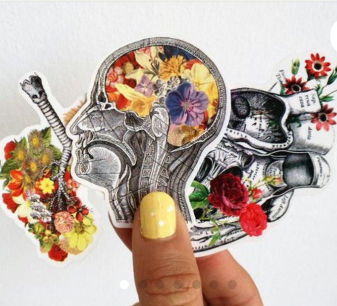 Anatomical stickers 🆒