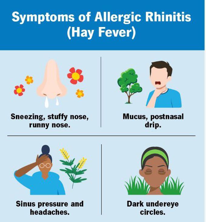 Allergic Rhinitis Medizzy