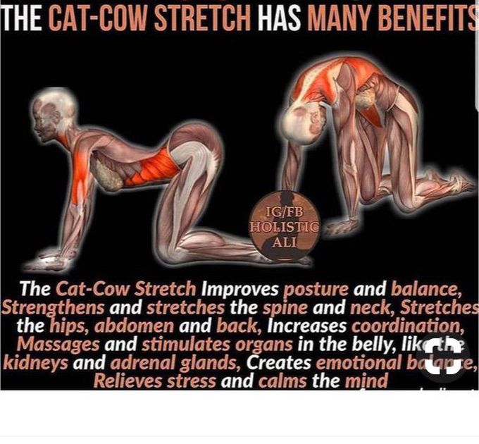 Do u know?? Improves posture ⬆️coordination