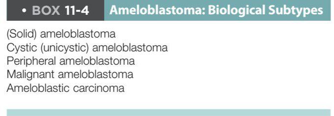Ameloblastoma types