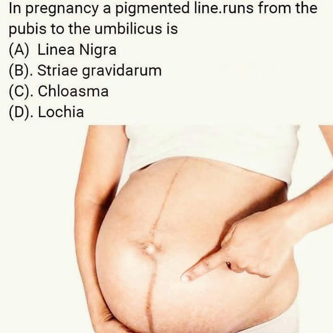 Answer plz 😊