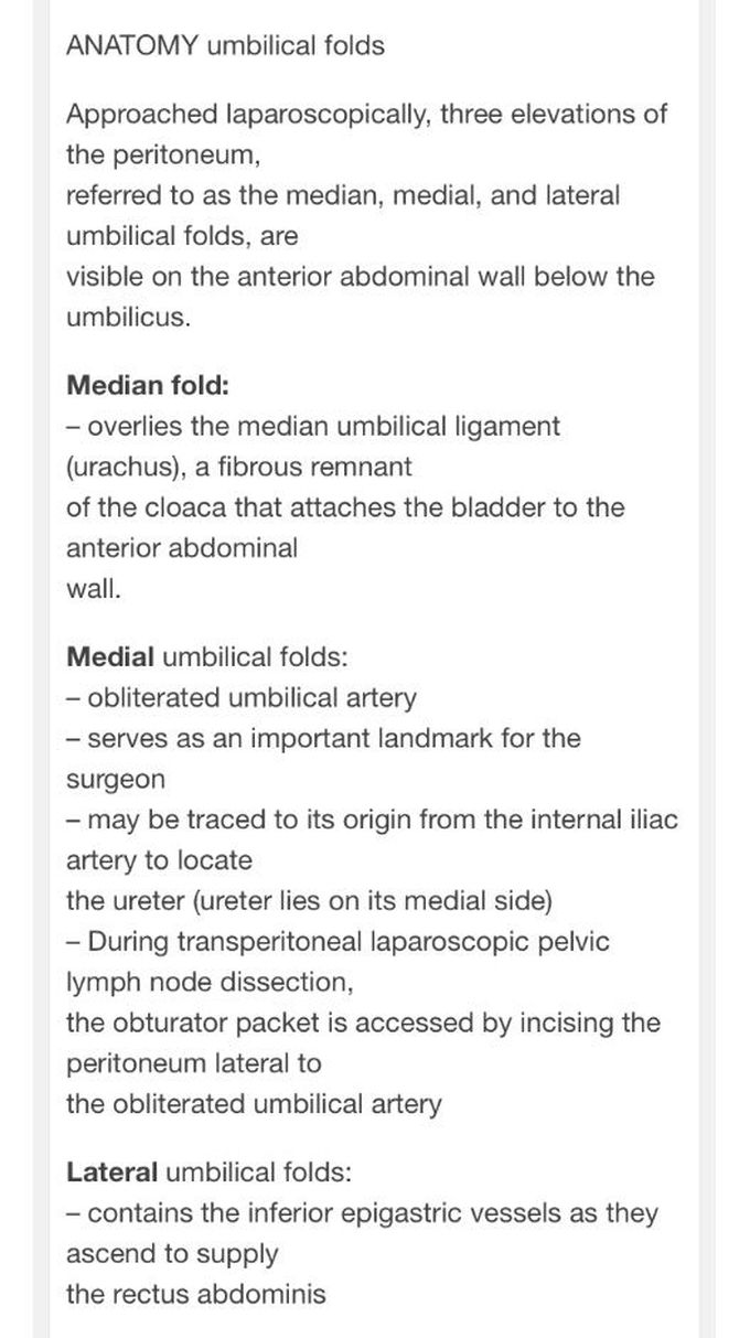 Umbilical Folds