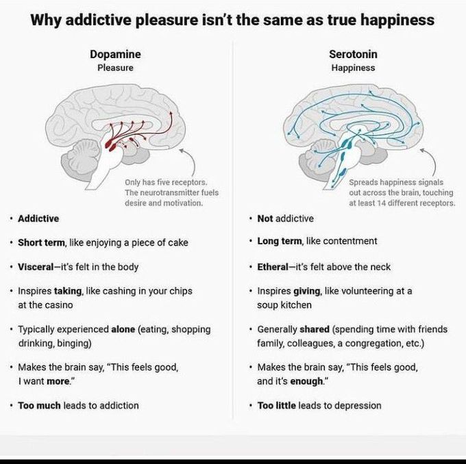 Addictive pleasure Vs True Happiness