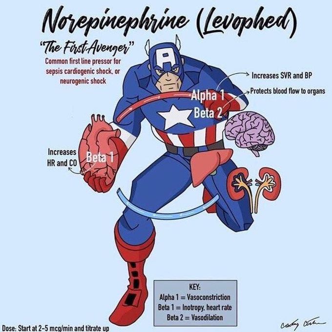 Norepenephrine