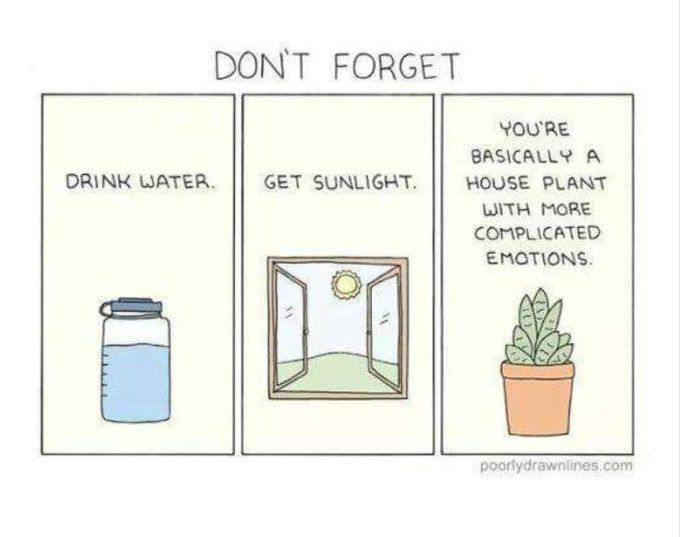 Humans