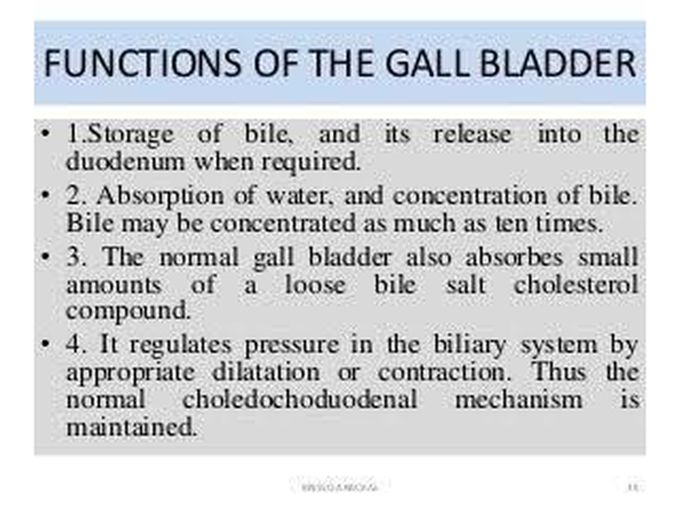 Functions of Gall bladder