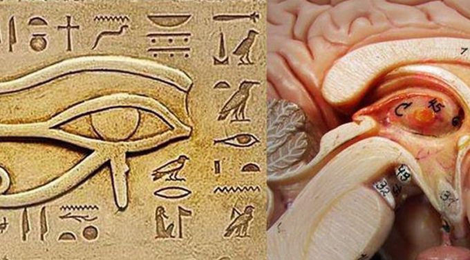 Amazing story (Eye of Horus)