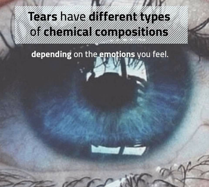 Tear fact💧👁️....!!