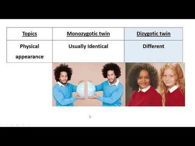 Monozygotic and dizygotic twins - Slide and visual representation