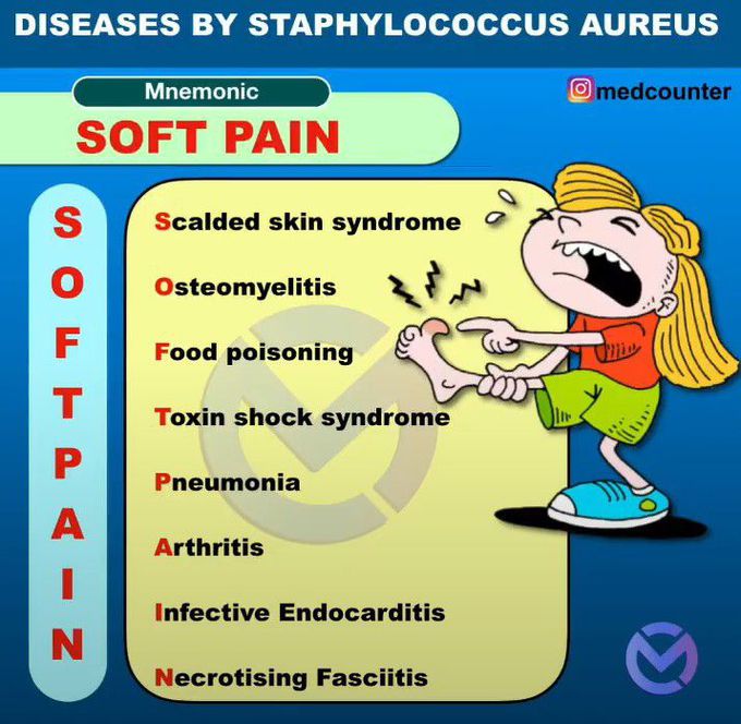 Staphylococcus Aureus Diseases