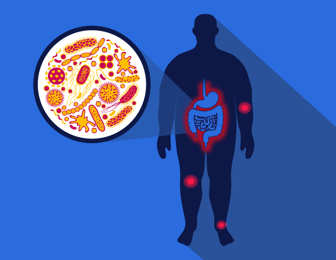 The Bugs in Your Gut Could Make You Weak in the Knees