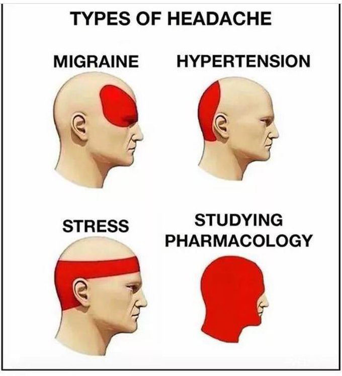 True🙄