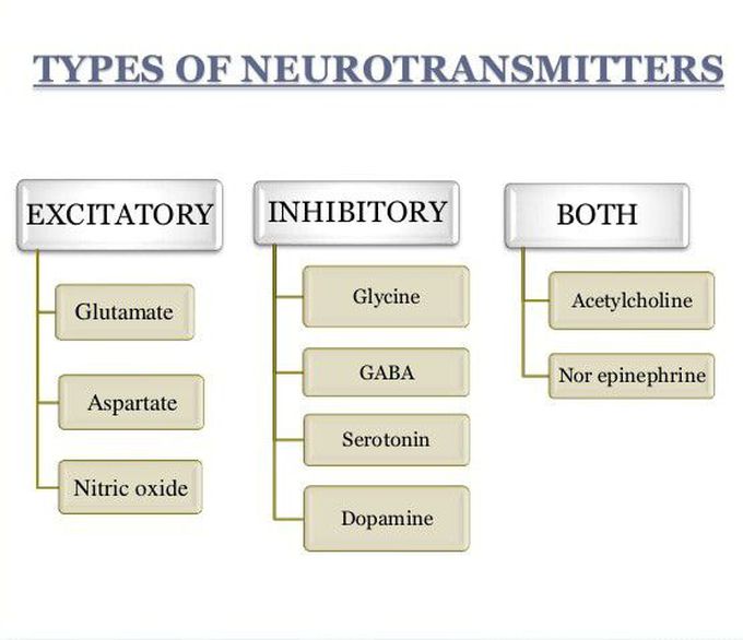 Types of neurotransmitters.