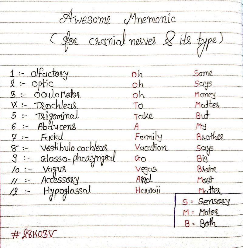 cranial nerves face mnemonic