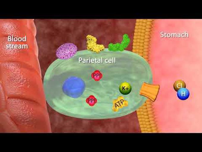 Proton Pump Inhibitors - MODE OF ACTION