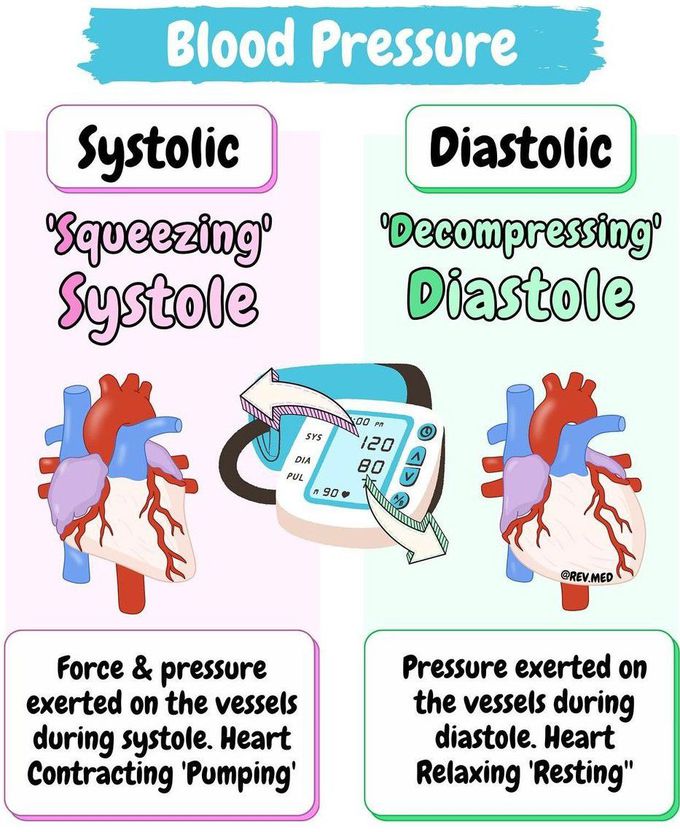 Systolic vs. Diastolic Blood Pressure