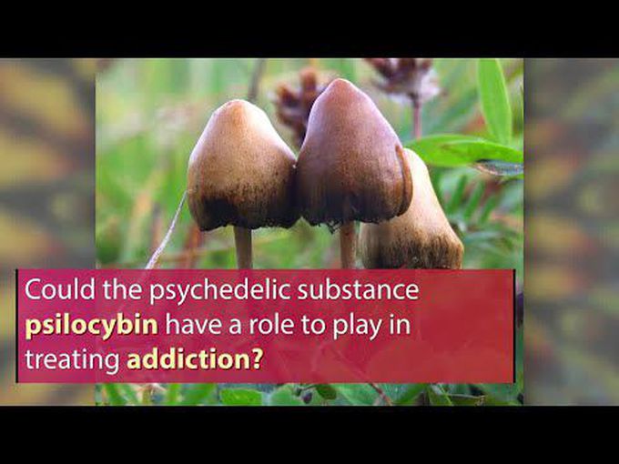 Psilocybin against Addiction