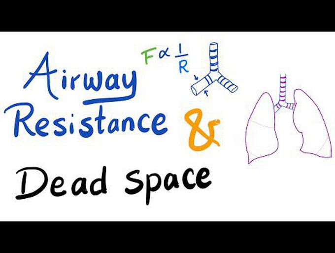 Alveolar Ventilation: Airway Resistance 
and Dead Space