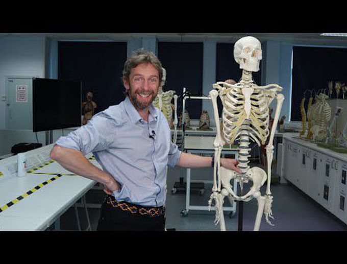 Skeletal anatomy introduction