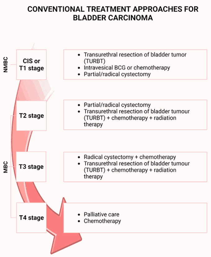 Treatment Approaches For Bladder Carcinoma