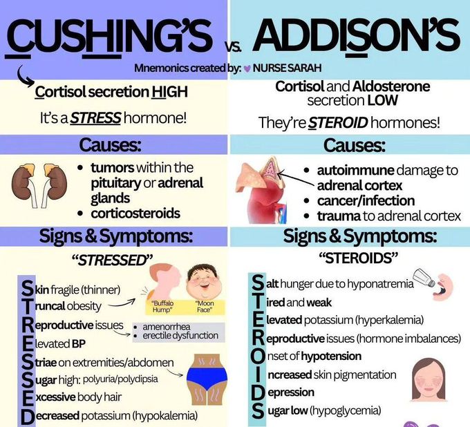 Cushing Vs Addison's