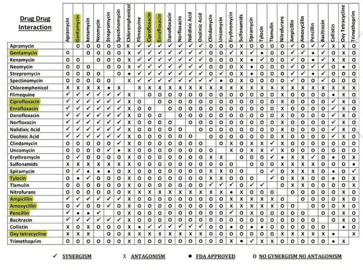 Drug-Drug interaction - MEDizzy