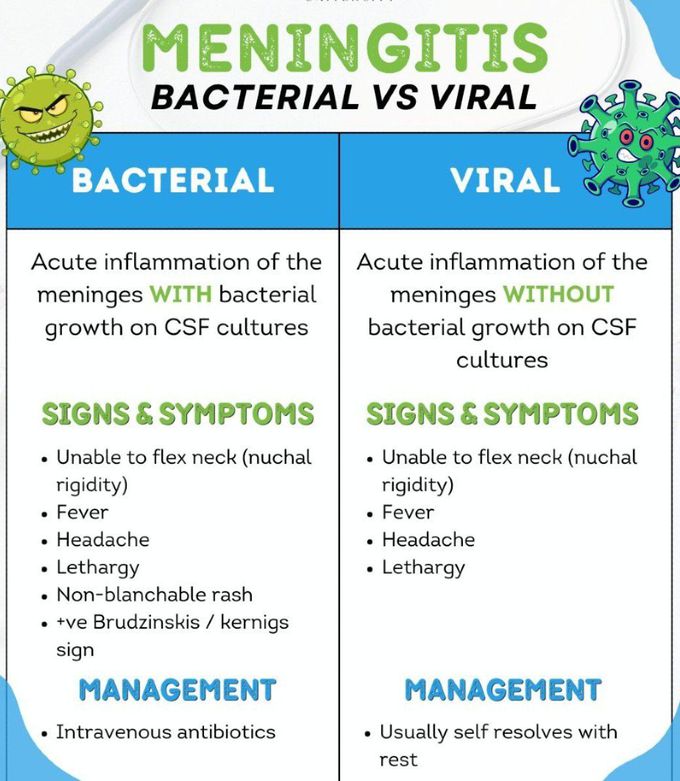 Meningitis Types