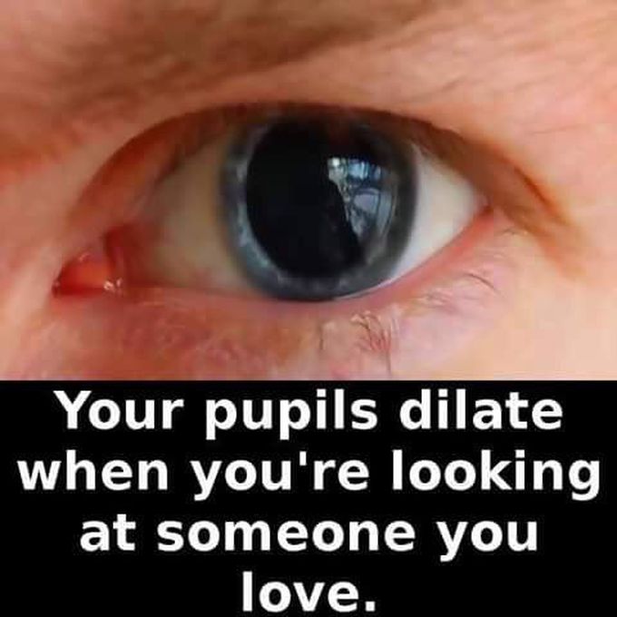 DO YOU KNOW..?