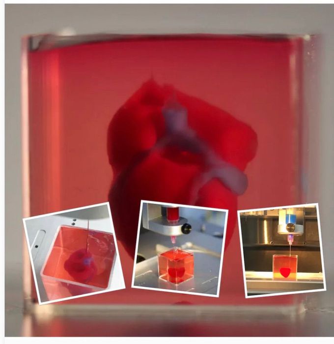 TAU scientists print first ever 3D heart using patient's own cells!!