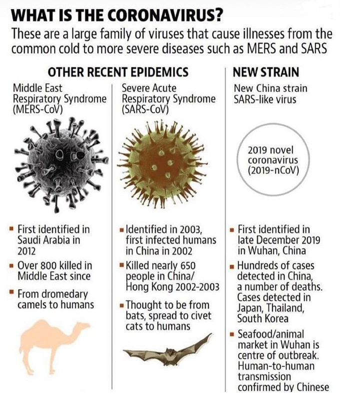 CoronaVirus