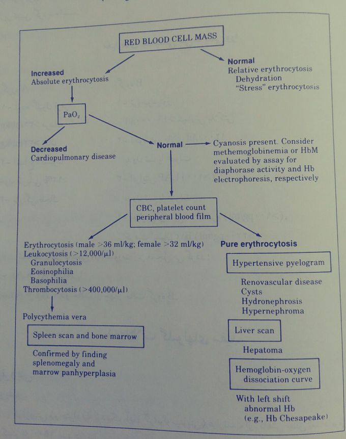 RBC  CELL MASS