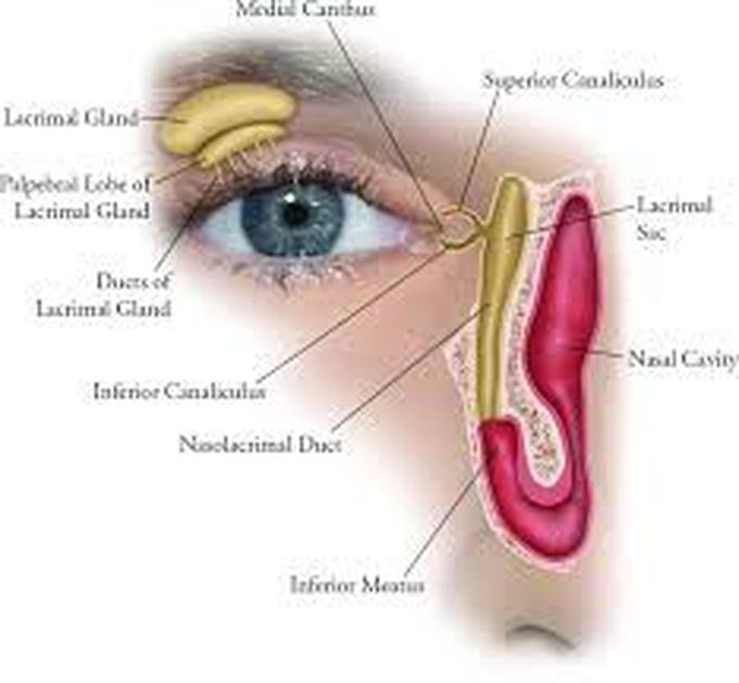 Causes of haemolacria