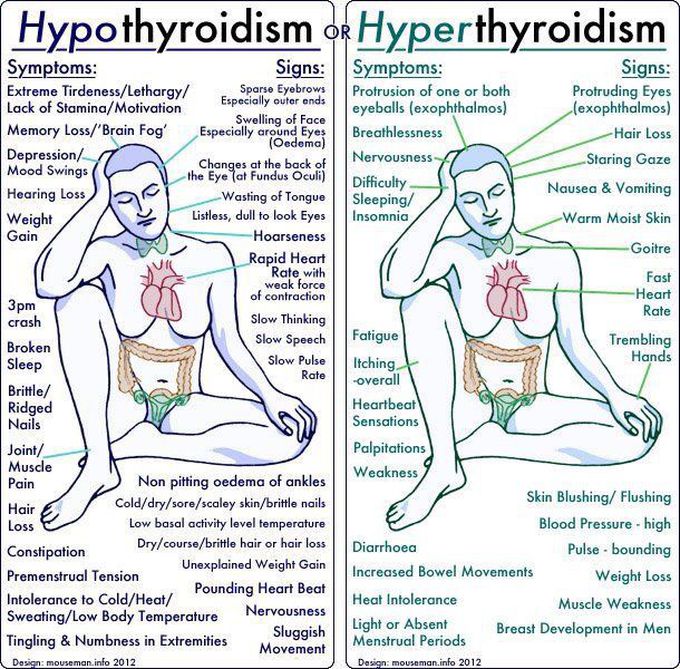 Thyroid