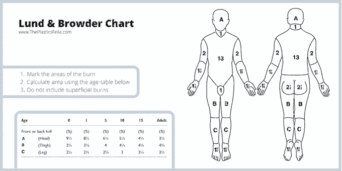 Lund and Browder Chart