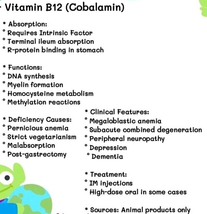 Vitamin B12