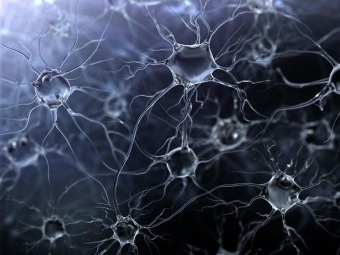 Dementia: Study helps to unravel the cause of brain cell death