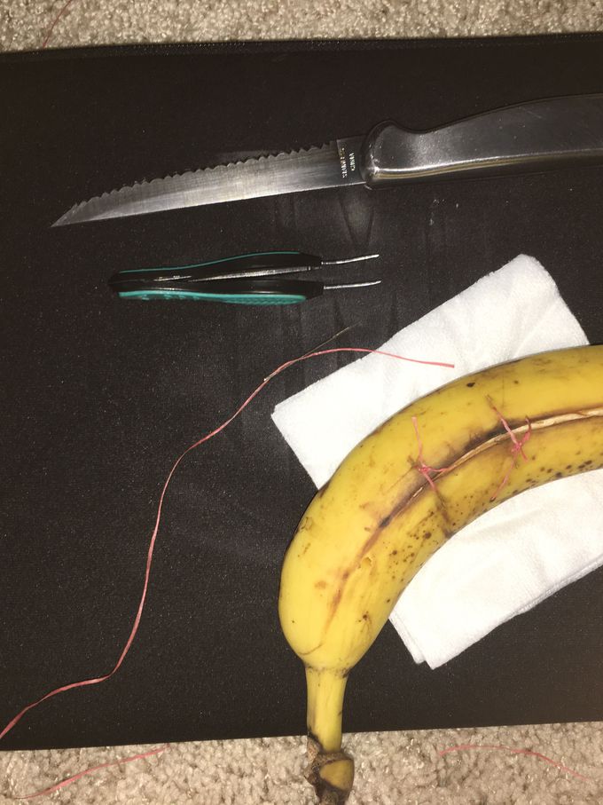 Stiches with household items!