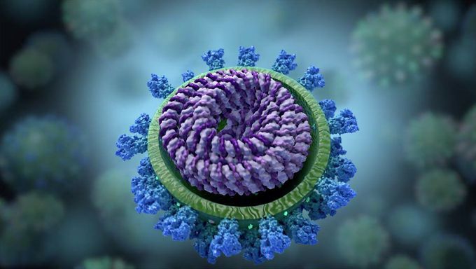 How COVID 19 Affects the Body