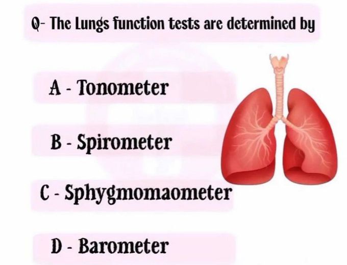 Lung Function Test