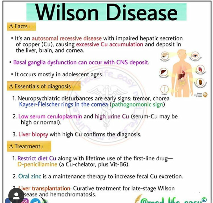 Wilson disease - MEDizzy