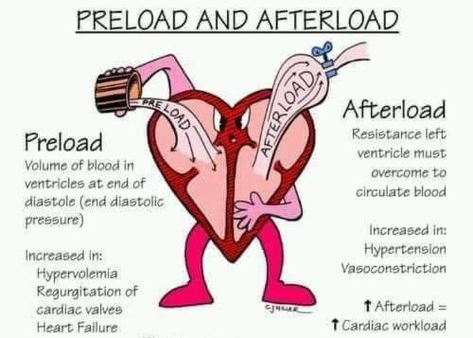 Physiology of heart