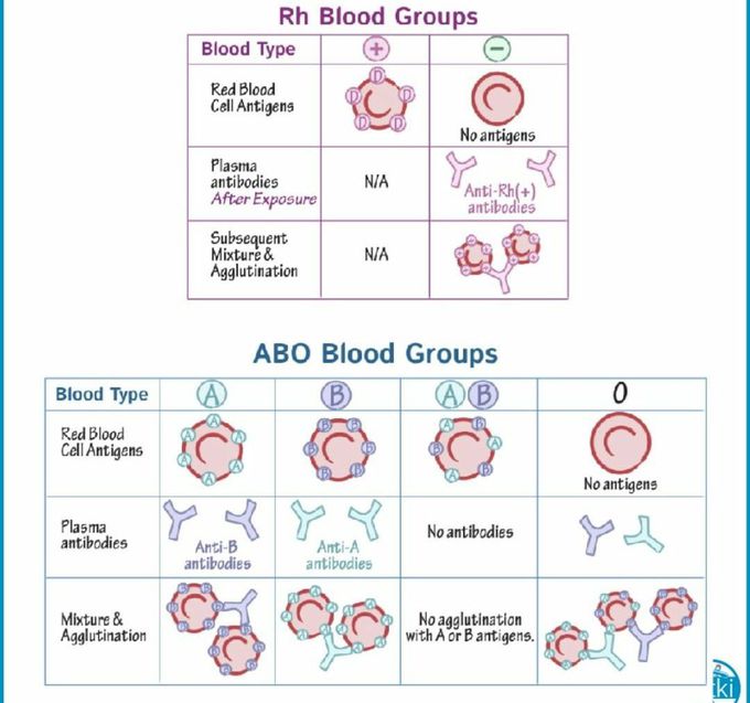 Blood transfusion