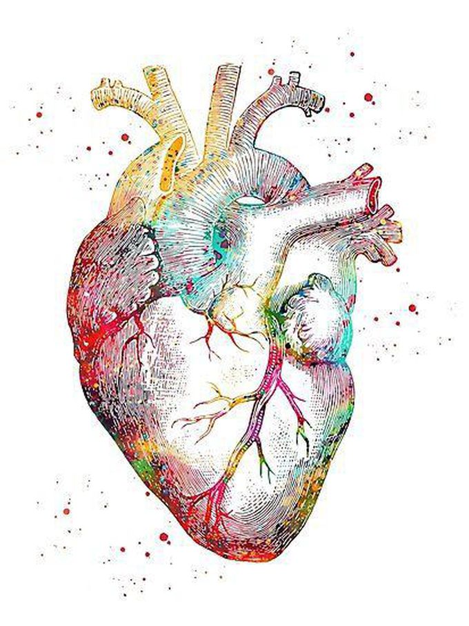 Beautiful "Human Heart" ❤️