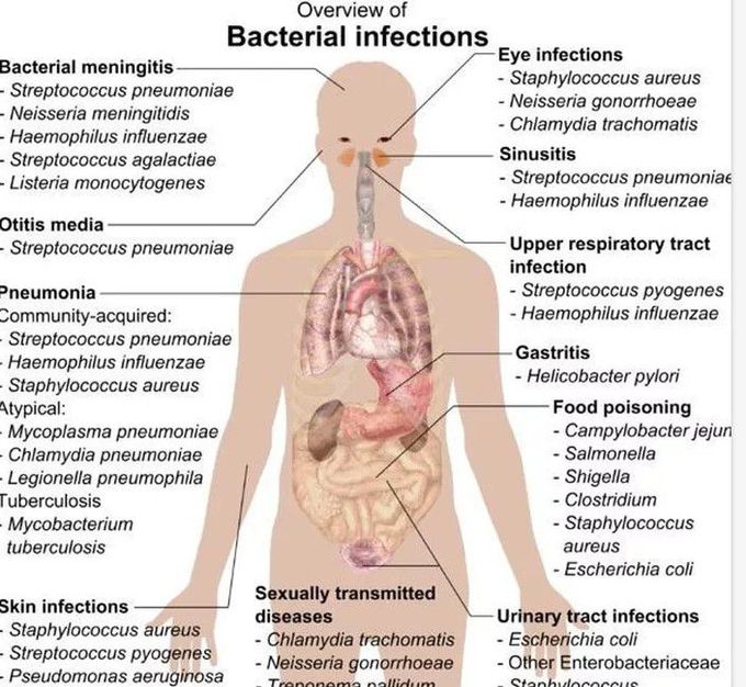 Microbiology