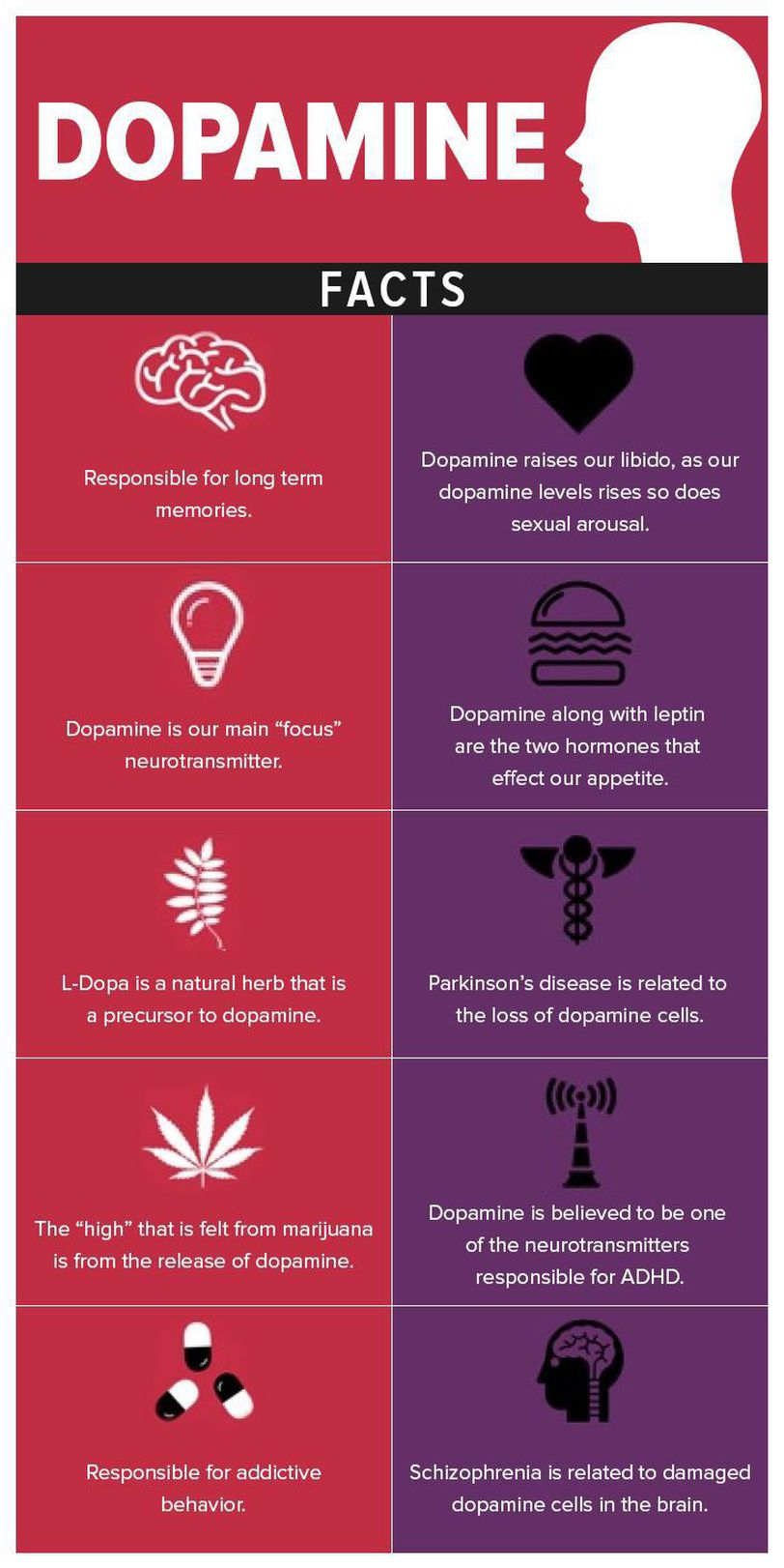 Facts related with dopamine - MEDizzy