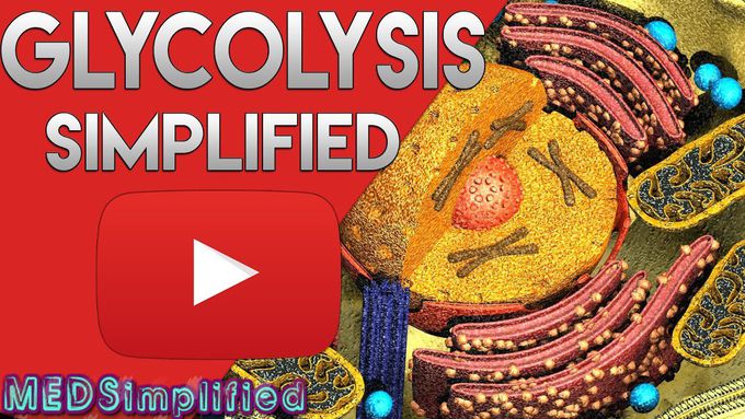 Glycolysis-Simplified